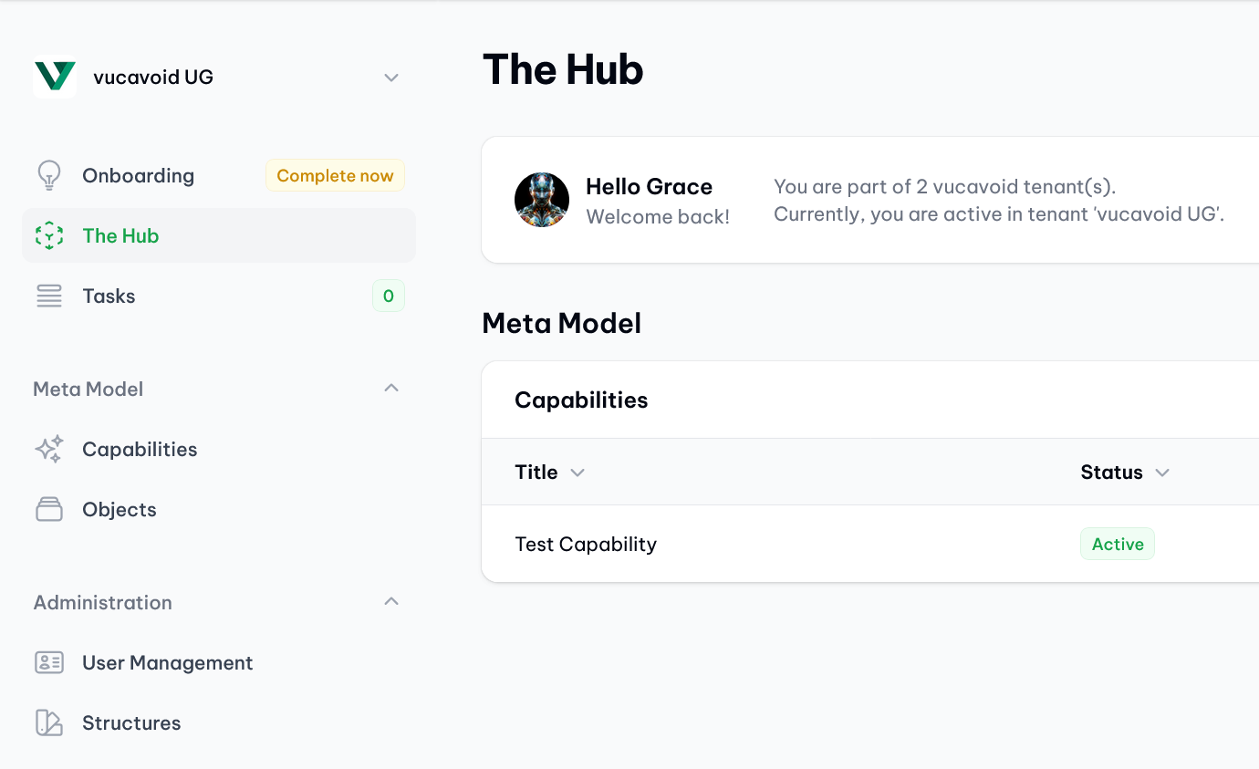 vucavoid navigation: Sidebar navigation for an user with a single role as  "Meta Model Manager" (demo data).